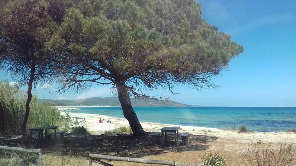 Appartamento Vecchia Pineta San Giovanni  Екстер'єр фото