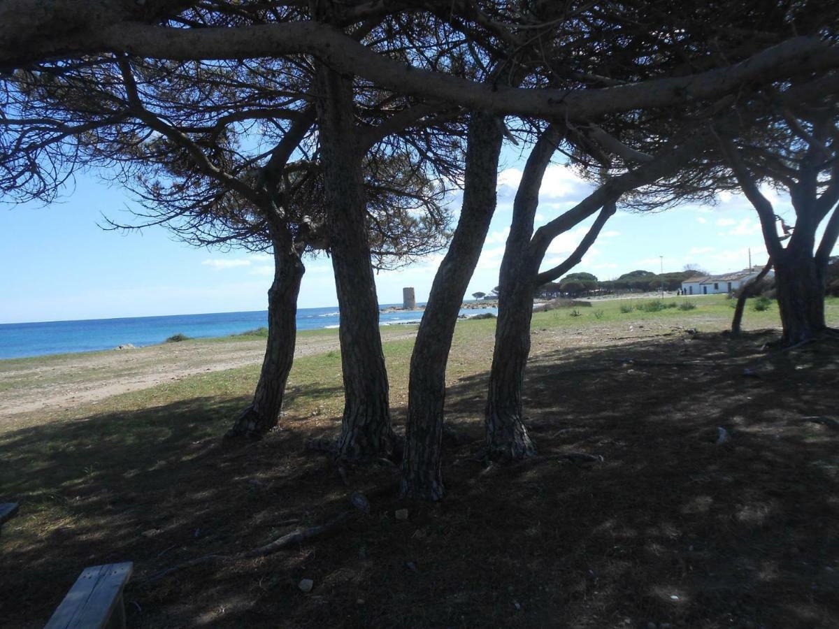 Appartamento Vecchia Pineta San Giovanni  Екстер'єр фото